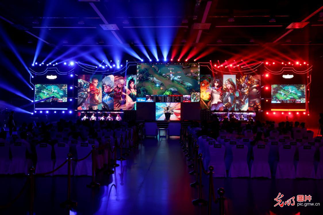 一份续约合 一份续约合