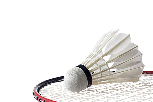 他們不僅有 他們不僅有